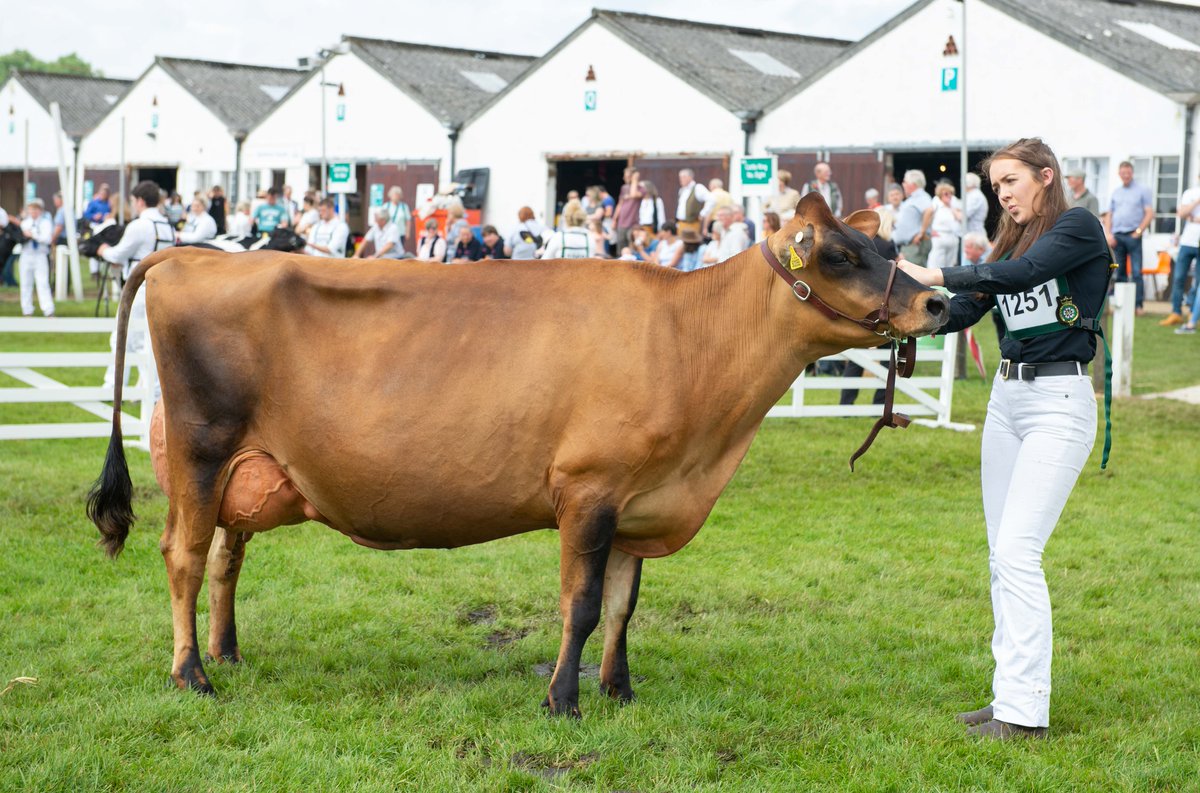 greatyorkshow's tweet photo. A list of #beef, #dairy &amp; #sheep #judges for this year's Great #Yorkshire Show (14-16 July) are now available to download from our website - https://t.co/nSf96RuP3B #GYS20 https://t.co/n6pOfnEYo2