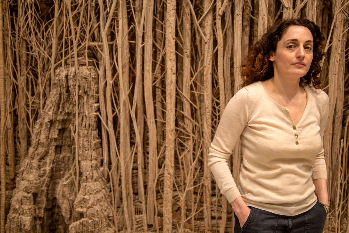 haywardgallery's tweet photo. #AmongtheTrees opens @HaywardGallery tomorrow and includes Forêt (Forest), 2019 by Eva Jospin. This incredible and rather monumental work is sculpted from cardboard boxes and is so intricate it has to be seen to be believed. Plan your visit here: http\://bit.ly/2Nda8oE https://t.co/9a2JzB5L0x