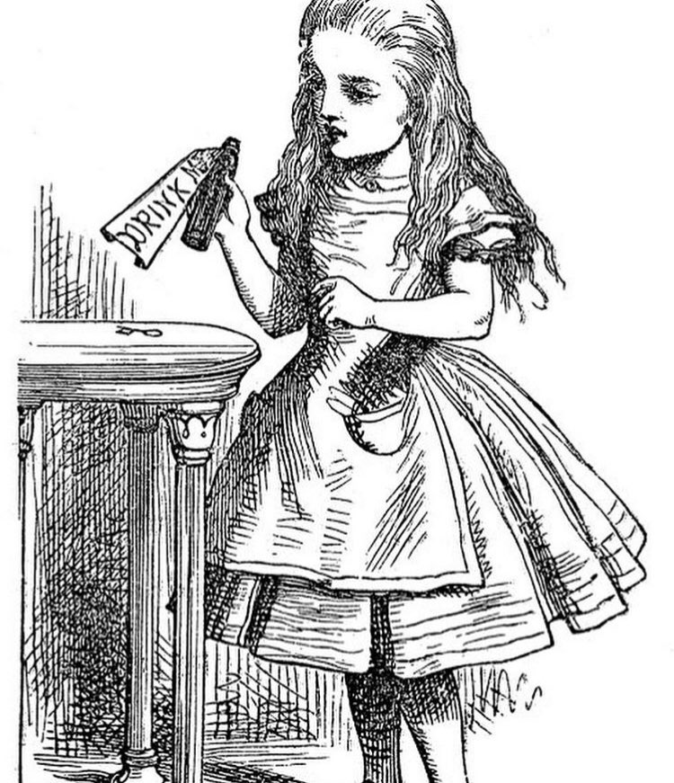 HerstoryR's tweet photo. Our second drink this week celebrates a classic character of literature, Alice in Wonderland! ✖️
#alice #herstory #history #aliceinwonderland #literature #womenshistorymonth #womenshistory #lewiscarroll #drink #cocktail #gin #lavender #infusedgin https://t.co/zs3zkoINEE