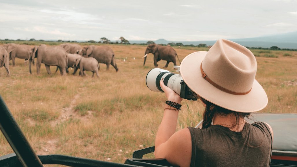 contiki's tweet photo. Read the issues that are threatening East Africa’s #wildlife and how you can make your travel matter: https://t.co/BqmGIG6kEs #WorldWildlifeDay #TravelTuesday https://t.co/09htfQ3fRr