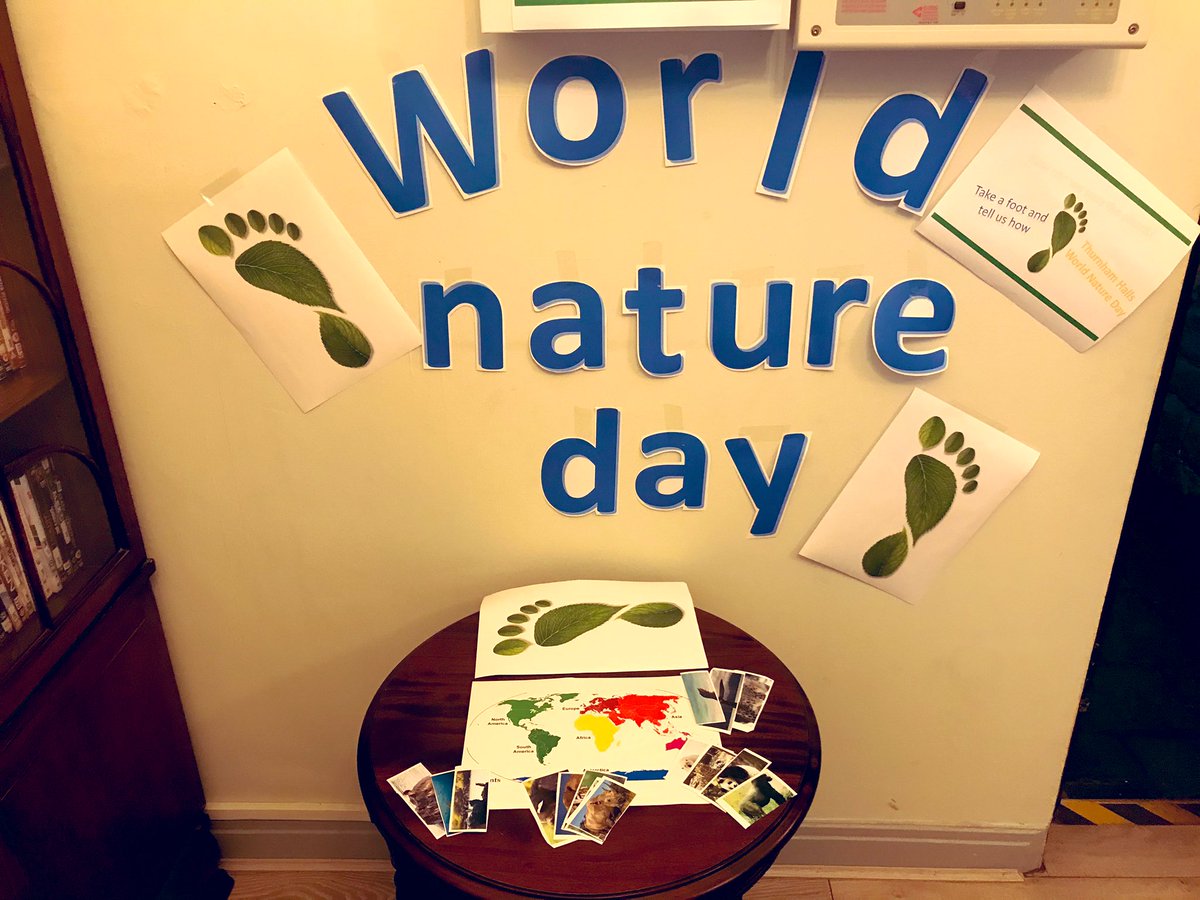 THHAlicia tweet media