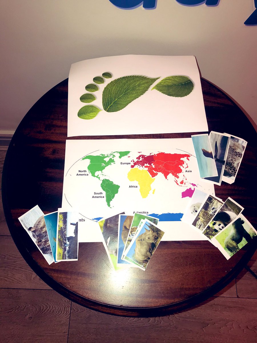 THHAlicia tweet media