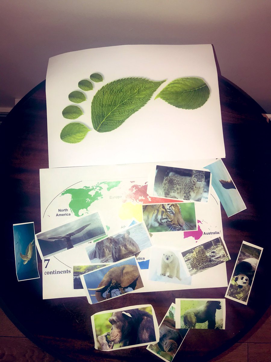 THHAlicia tweet media