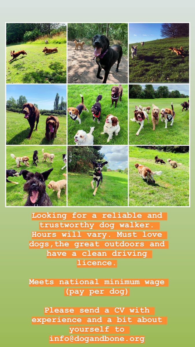 We are on the hunt for a lovely new dog walker to join our gang! 

If you think that could be you, please get in touch via info@dogandbone.org 🐾🐾🐾

#dogwalker #dogandbone #petservices #leamingtonspa #loveleam #dogs #warwickshire #job #warwick #localbusiness