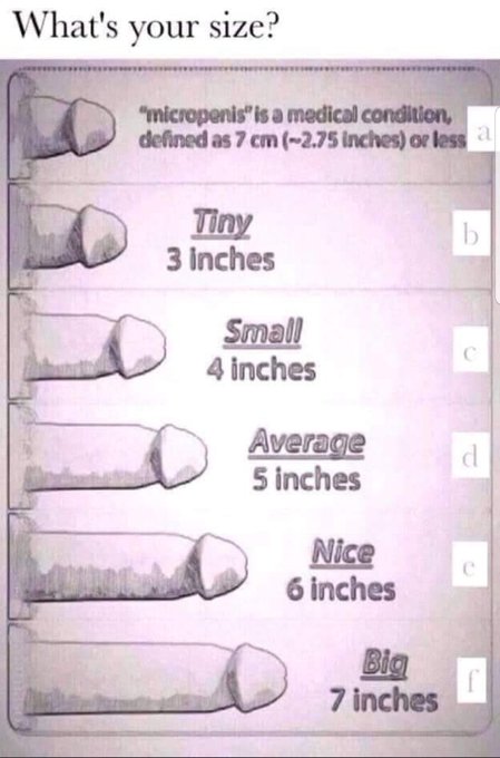 98765Massive's tweet photo. Girls choose your size. I choose small. https://t.co/6UeNcl7kFJ