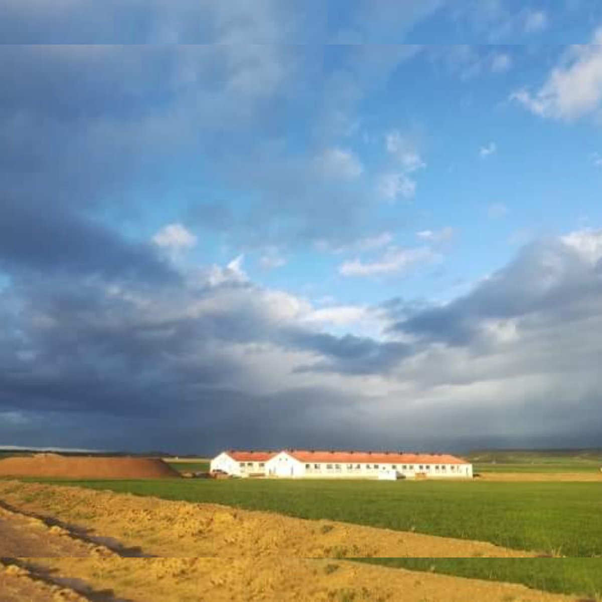 MOYDEone's tweet photo. Después de la tormenta siempre llega la calma.
En esta mañana que todavía conserva los restos de la noche fría. 
¡ Felices días amigos #Moyde  ! https://t.co/07jH2BsyxL
