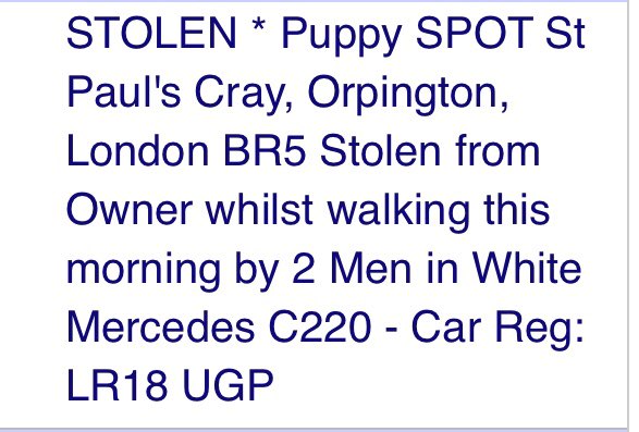 rosiedoc666's tweet photo. STOLEN BY TWO YOUNG MEN IN THEIR 20s AT KNIFE POINT 
WHAT SORT OF WORLD DO WE LIVE IN 🤬
SPOT #Stolen #Bulldog PUPPY 
St Paul’s Cray, #Orpington #LONDON #BR5 
WHITE #Mercedes  CLA SPORT 
REG NO ❗️LR18 UGP❗️
Last seen #CanningTown / #Stratford areas 
THEY NEED CATCHING - poor pup https://t.co/JpJteK67IT
