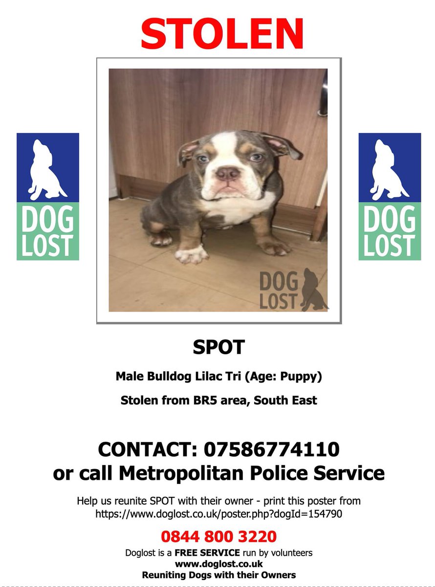 rosiedoc666's tweet photo. STOLEN BY TWO YOUNG MEN IN THEIR 20s AT KNIFE POINT 
WHAT SORT OF WORLD DO WE LIVE IN 🤬
SPOT #Stolen #Bulldog PUPPY 
St Paul’s Cray, #Orpington #LONDON #BR5 
WHITE #Mercedes  CLA SPORT 
REG NO ❗️LR18 UGP❗️
Last seen #CanningTown / #Stratford areas 
THEY NEED CATCHING - poor pup https://t.co/JpJteK67IT