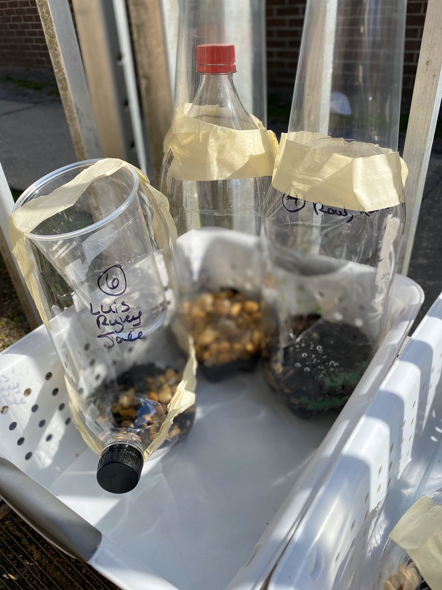 Mini-Engineers at work designing self-sufficient terrariums. Wonder if we’ll see the grass sprout before or after Spring Break? Can’t wait to record what we observe! 🌱📓 @HHSK8Knights #vcsscientists