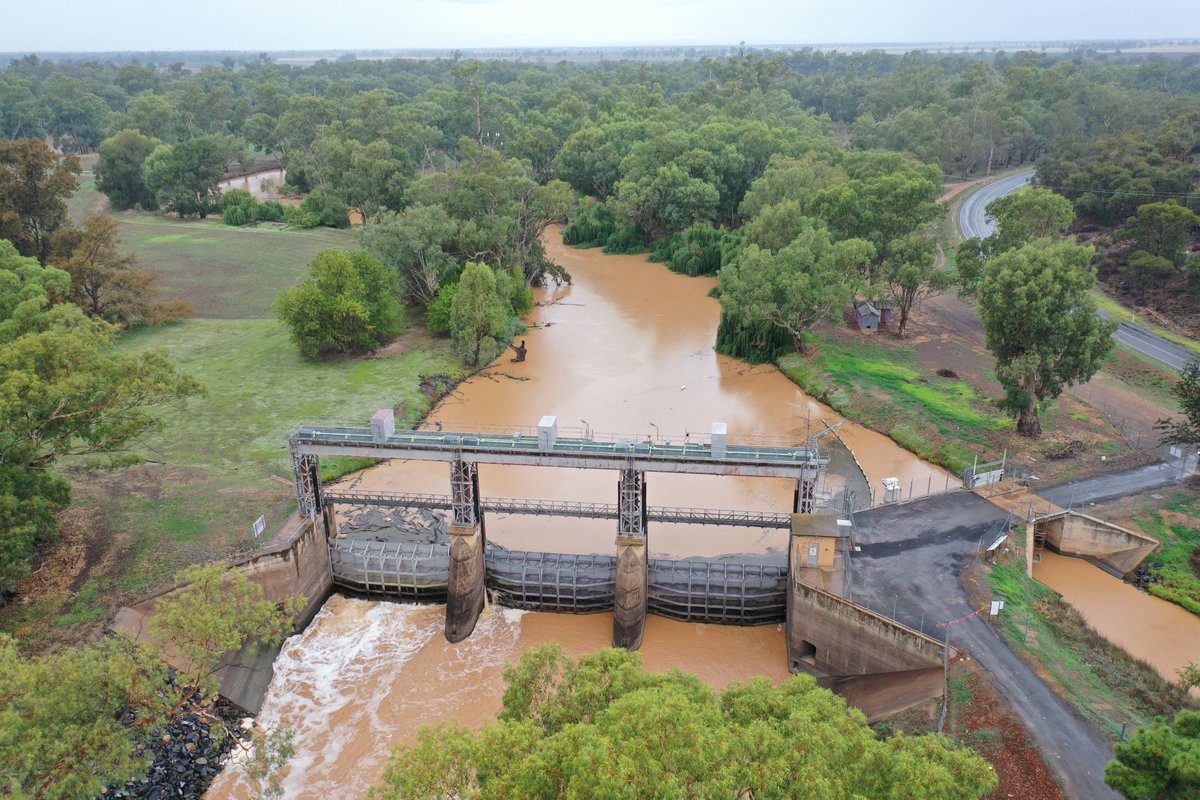 Trent Thorne tweet media