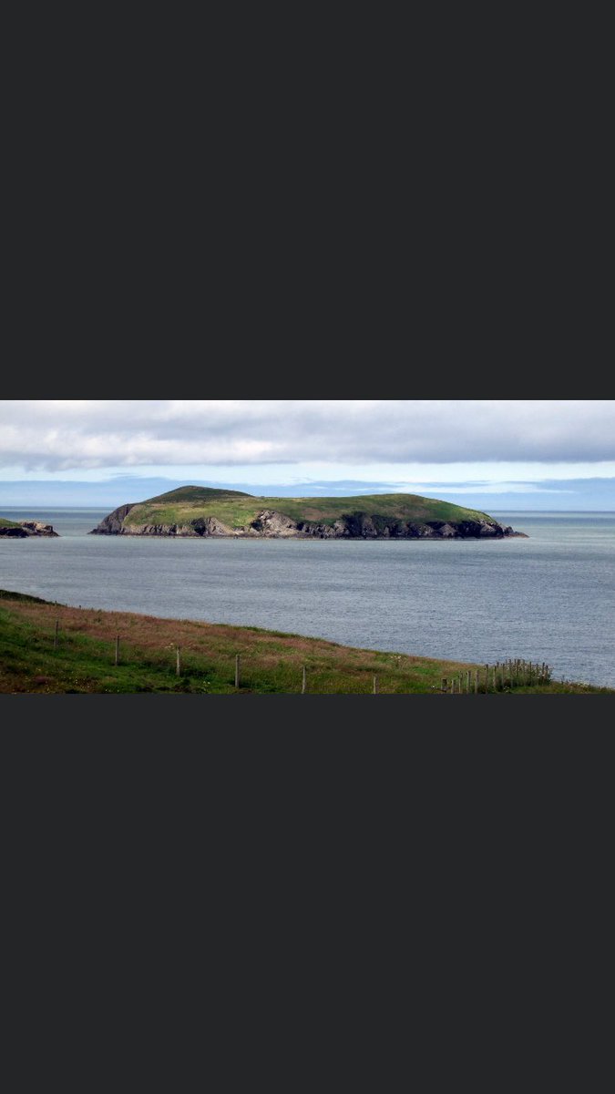 Paradise. Paradwys x