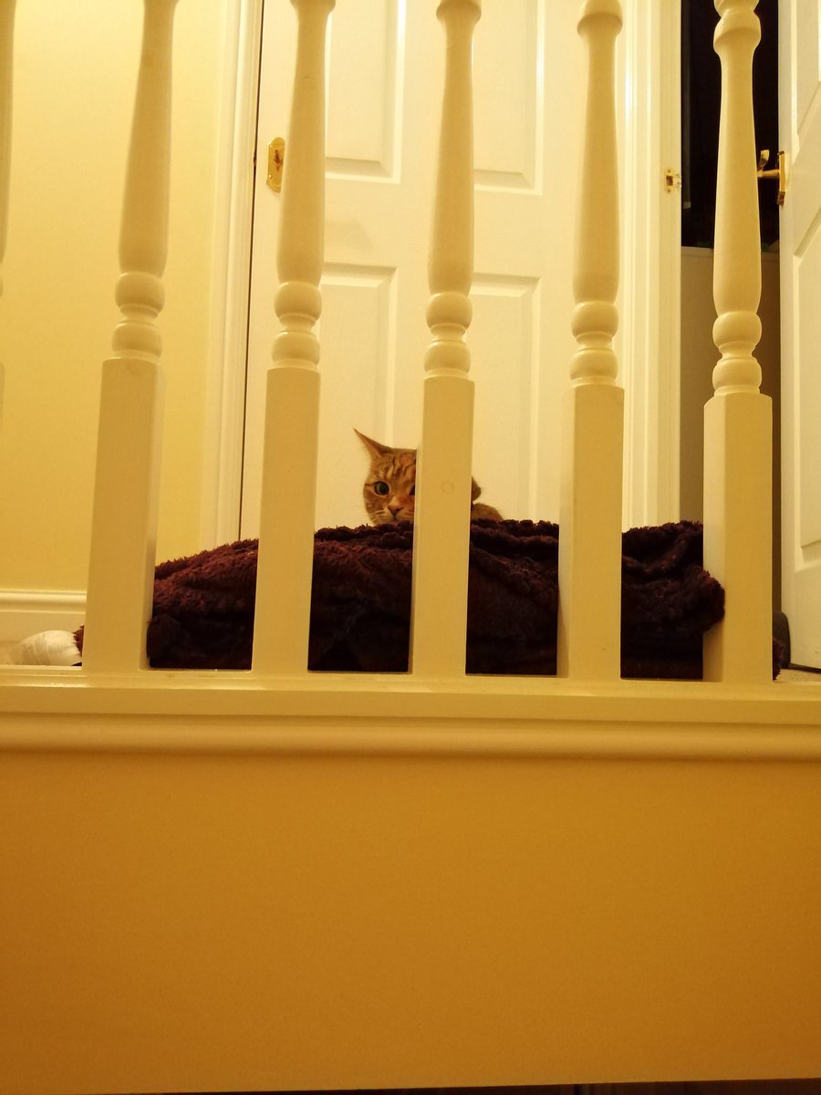 wh?