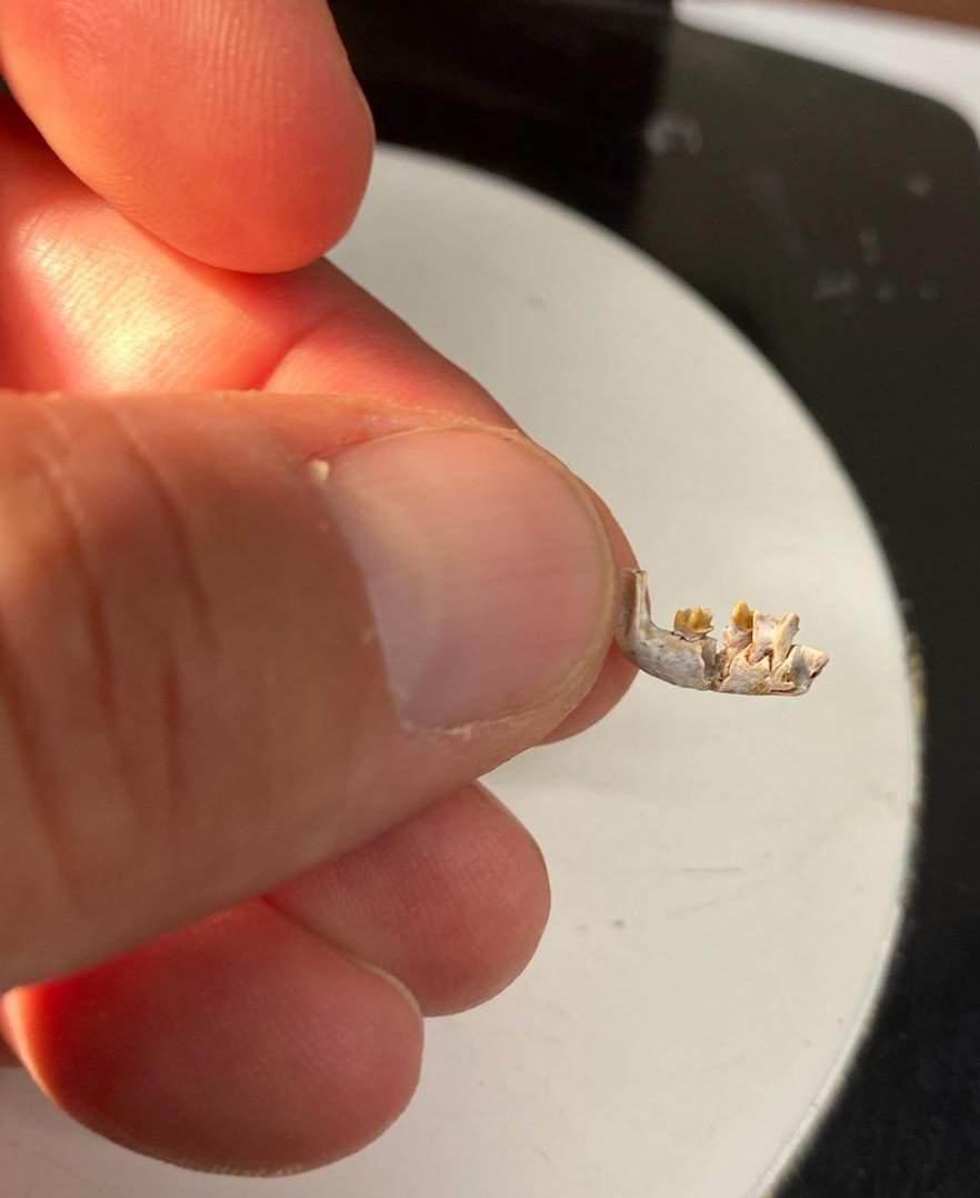 Bloch Lab @UF tweet media