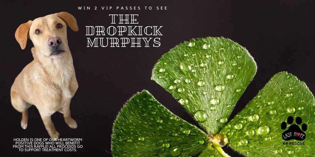 lasthopek9's tweet photo. 🍀 Holden, one of our #heartwormpositive dogs currently undergoing treatment, is “holden” out for hope that you participate in this AMAZING #raffle to win 2 VIP Passes to one of the @DropkickMurphys’ #StPatricksDay Shows! 🍀

Buy your #raffletickets today: https://t.co/Z1uDpOCrWx https://t.co/bXXqCzVDa7