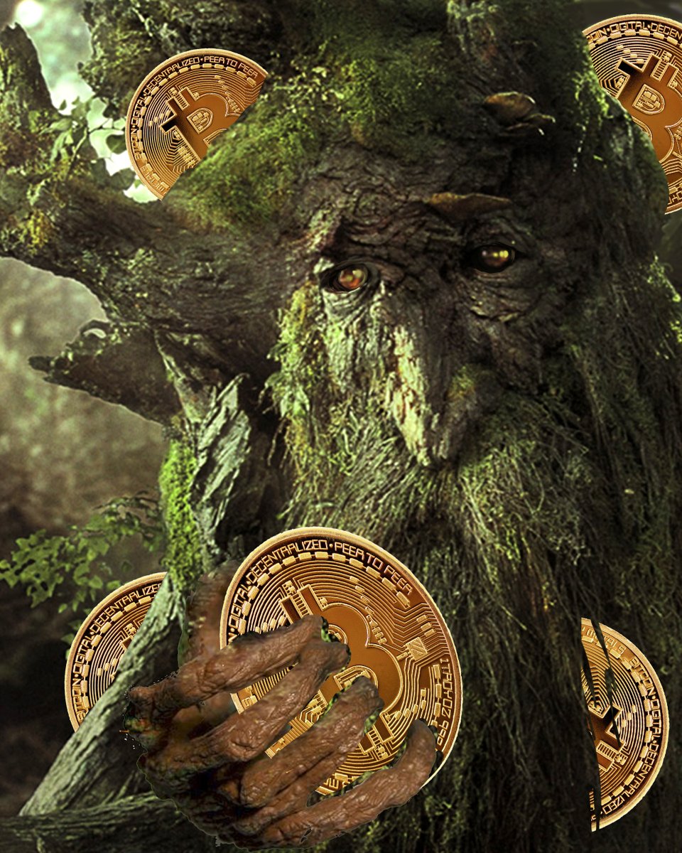 1Dq12's tweet image. Hodlbeard

#Bitcoin  #treebeard #hodl