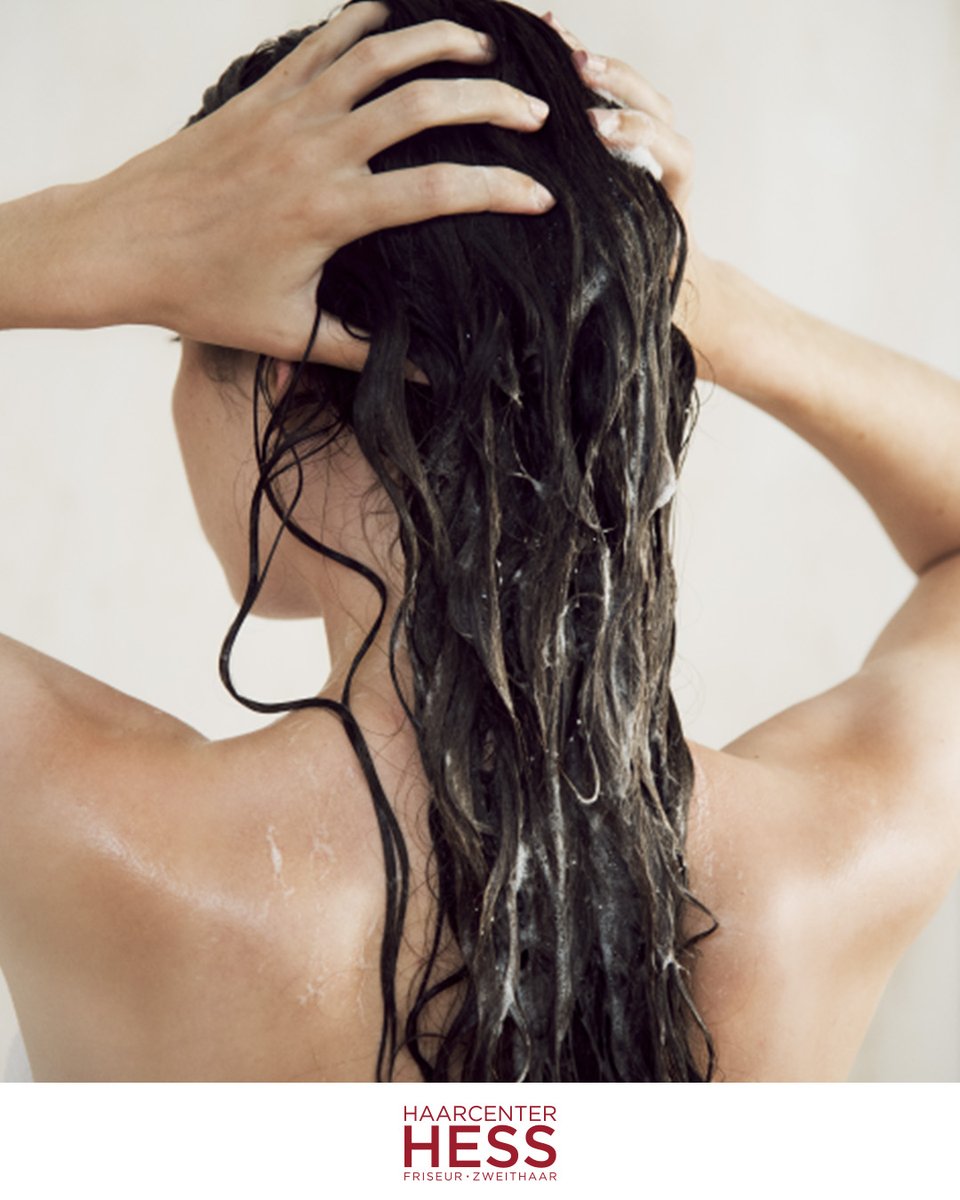 HaarcenterHess's tweet photo. #Kopfhautcheck – Wofür ist er gut? 🤔 Durch den Kauf von Shampoo für fettiges Haar bei einem strähnigen Ansatz kann das  Haarbild sogar verschlechtert werden. Die Kopfhaut war gar nicht fettig, sondern feucht oder trocken. Diese Unterschiede zeigen wir euch beim Kopfhautcheck! https://t.co/Gvgfw1tLQe