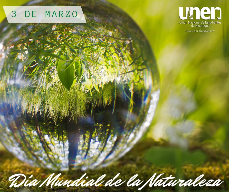 UNEN_Nacional's tweet photo. #SomosUNEN ✊ | 3 de Marzo, Día Mundial de la Naturaleza 🌳🌎🌞🐳🦋🐻🦁🐯🐨 

"Garantizar el sostenimiento de la vida en la Tierra"

#ConVosEstudiante106 🇳🇮 #diamundialdelavidasilvestre #DiaMundialDeLaNaturaleza https://t.co/yITwJ11fo4