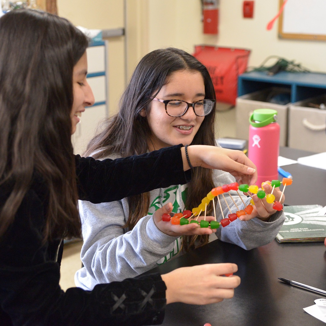 chambanamoms's tweet photo. MIDDLE SCHOOL can be rough, but it doesn't have to be. Attend Countryside School’s middle school info night on Thursday March 5 at 7 pm. Meet teachers, parents and students and learn about the opportunities at this private school in #Champaign.
https://t.co/nLgtSLTY6e
#chambana https://t.co/XALFpmptLA