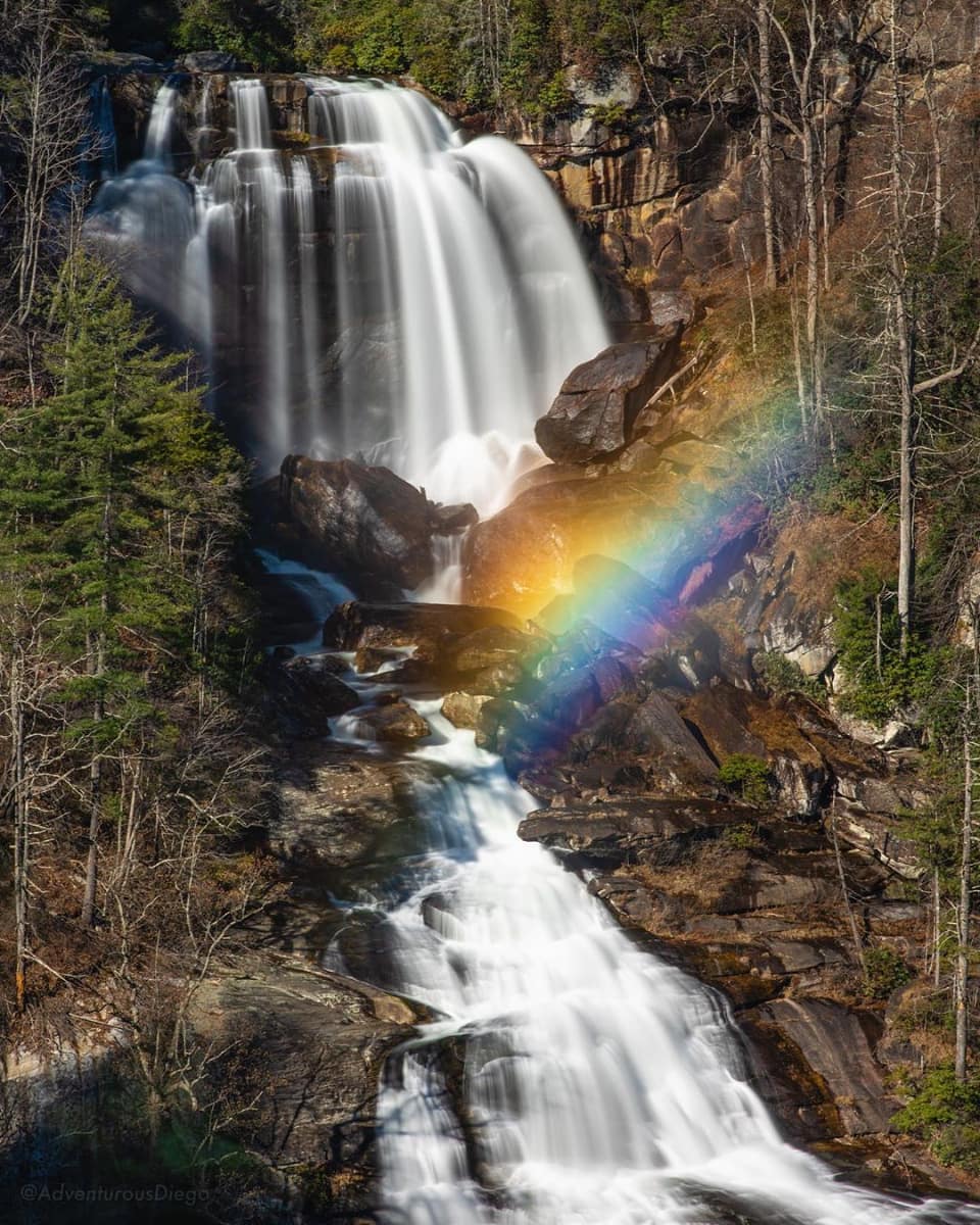 It's #WorldWildlifeDay and if you're a lover of the outdoors, here is a list of the best trails to explore in #Asheville! >>bit.ly/32NVFpJ

Photo by adventurousdiego