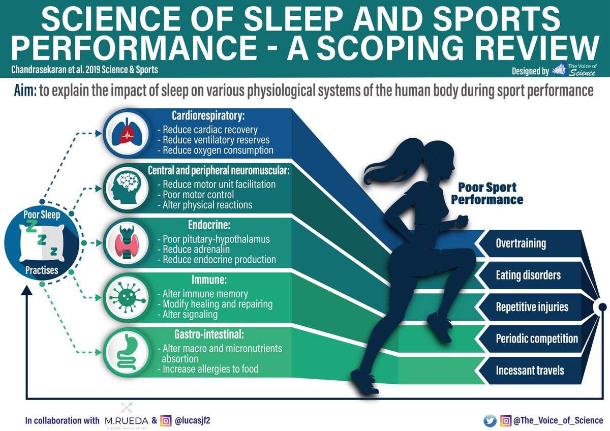 TVoiceOfScience's tweet photo. 📢🆕Poor #sleep practises are able to affect several physiological systems, there by deteriorating the #exercise performance capacity.🏃‍♂️⏰🛌
  
@clriindia

https://t.co/T0tlkfIVNV

#VisualAbstract  #scicomm #Cardiorespiratory #Endocrine #Fitness #Health #Immune #performance https://t.co/dD9c1mSKIy