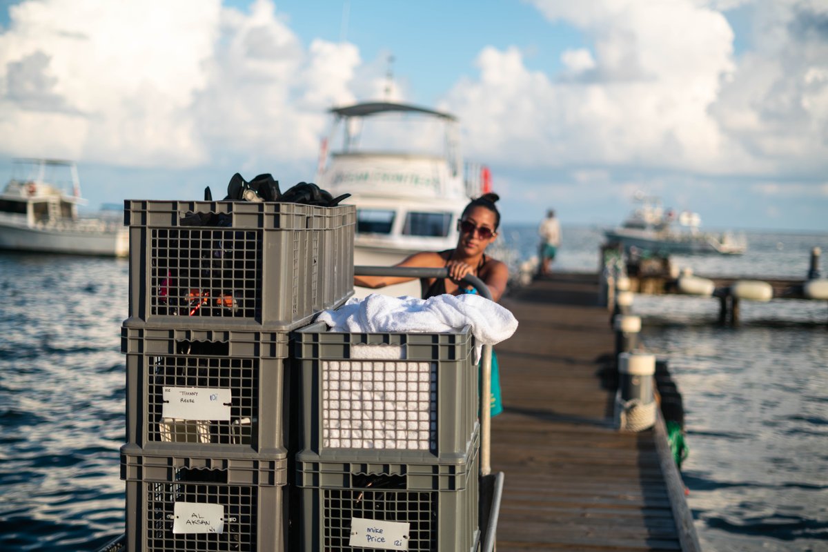 Dive master Sam Lungari rolls in guests' baskets from the boat after a great day of diving 🤙🏼🏝 
One small effort by our staff to make our dive experience as easy and relaxing as possible, we give each of our guests a basket for their gear for easy transport and organization