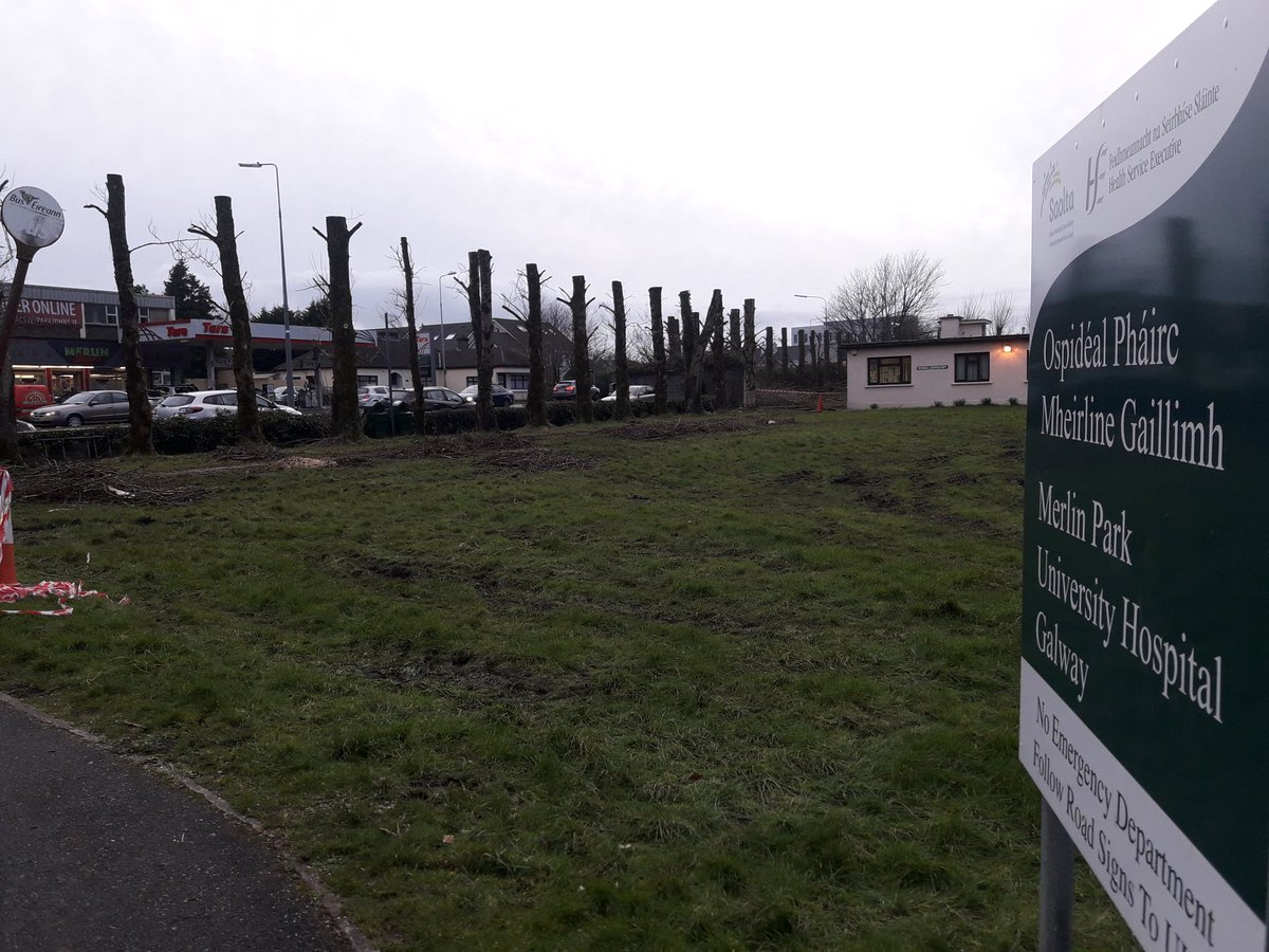HSEPMSHW's tweet photo. So sad on my walk home. The storms have really taken their toll in Merlin Park. Where once there were trees! @CHO2west @HealthyIreland @hsestaffhealth https://t.co/9TayGzbDr1