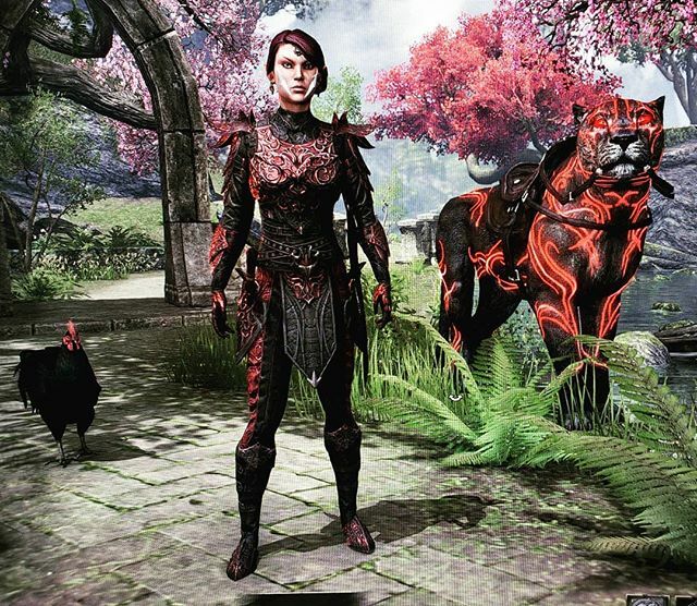 SJLyonesse's tweet photo. Got a lovely rare #senche drop in #ESO and had to dress my character to match.
#gamerchick #gaming #pcgaming #pcgamer #twitchaffiliate #elderscrollsonline #twitch #twitchstreamer #twitchkittens #razerstreamer #gamerchic_ken #girlstreamers https://t.co/mQMSfTBhX7 https://t.co/ata5MPpJsj