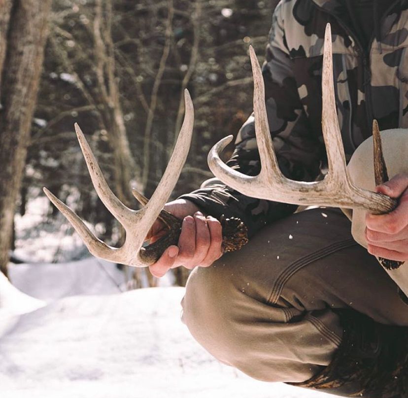 StixnStonesInc's tweet photo. That moment you find a matching set! 😍 who’s been there? 

#shedseason #shedhunting #huntinglife #matchset #whenitcounts #putinthework #getoutdoors #exploremore 

📸 credit: Zach Hand https://t.co/gfsbvZECmr