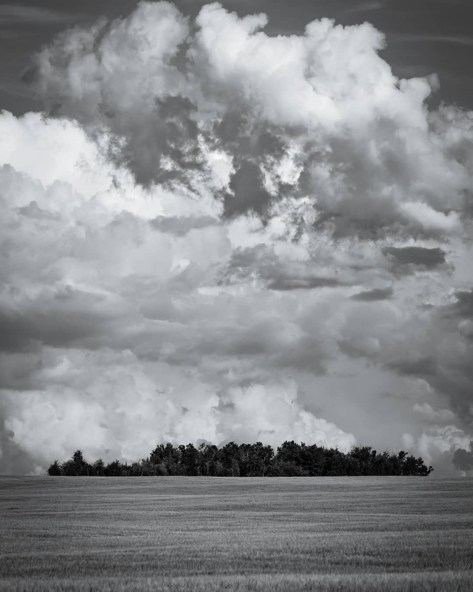MikeIsaak's tweet photo. "Atmosphere"
With the weather warming up lately, I can't help but be excited about summer!
#explorecanada #mikeisaak #canadiancreatives #imagesofcanada #theoutbound #wildernessculture #idratherbeexploring #alberta #explorealberta
#enjoycanada #yeg #yegart #yegartist https://t.co/P6909vpDMY