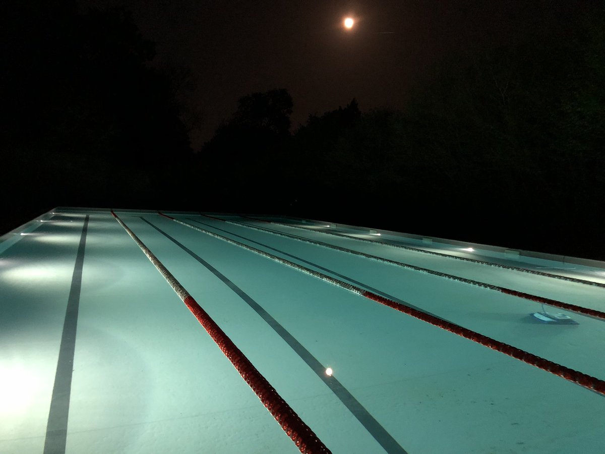GroupEvolution_'s tweet image. A lovely nighttime dip, anyone?