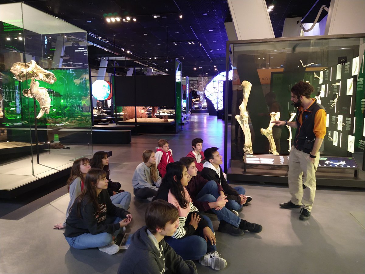 CosmoCaixa's tweet photo. ¡Nuestros #CosmoExplainers continúan hoy su formación! Hoy, formándose sobre algunos módulos del museo. https://t.co/xvqzNTCrZE