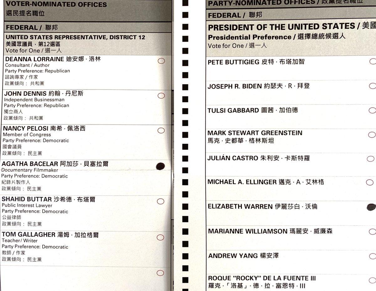 LonnieLazar's tweet photo. #YoVotΓ© ! #HandMarkedPaperBallots #TheStatusQuoMustGo https://t.co/hxrJDn5FvV