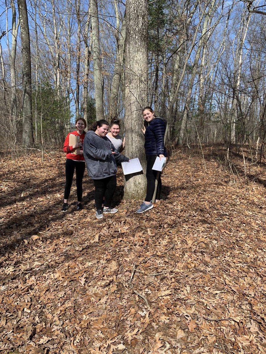 DmsWolves's tweet image. 7-1 students enjoyed studying ecology on this beautiful day with their “Lichen and Moss on Tree Trunks” Lab