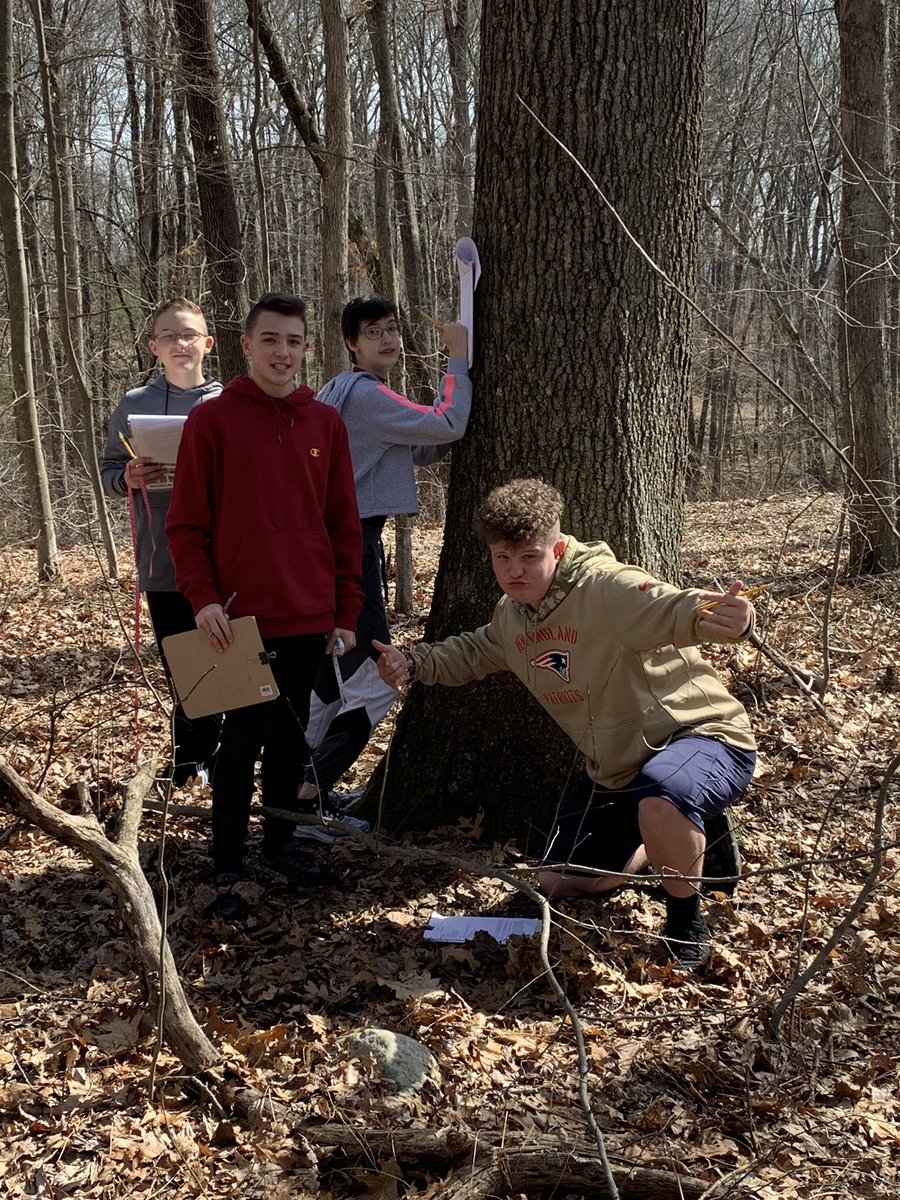 DmsWolves's tweet image. 7-1 students enjoyed studying ecology on this beautiful day with their “Lichen and Moss on Tree Trunks” Lab
