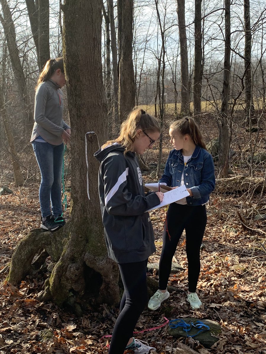 DmsWolves's tweet image. 7-1 students enjoyed studying ecology on this beautiful day with their “Lichen and Moss on Tree Trunks” Lab