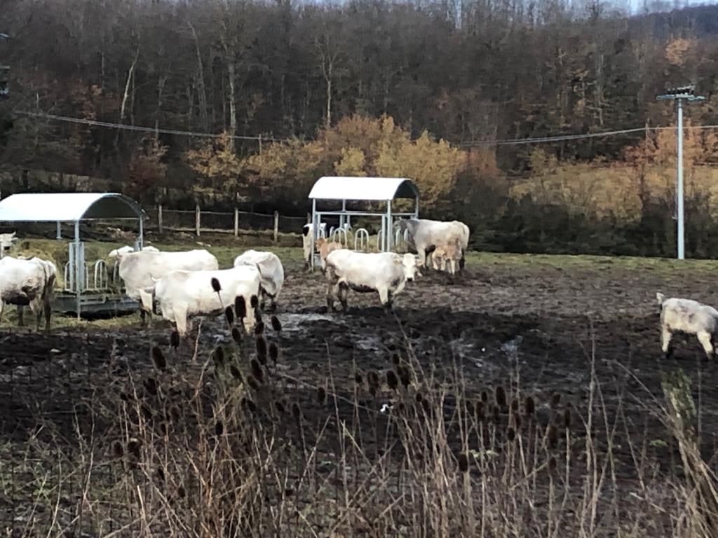 EnteRomaNatura's tweet photo. Domani appuntamento 7:30 con @BGRLazio @TgrRaiLazio @MariellaAnziano e @Mau_Gubbiotti in diretta da Amatrice #Configno Agricoltura biologica per la ricostruzione! Un consorzio di aziende agricole e zootecniche lancia il progetto Amatrice Terra Viva e Bio-distretto Terra Viva! https://t.co/zohlaV1U54