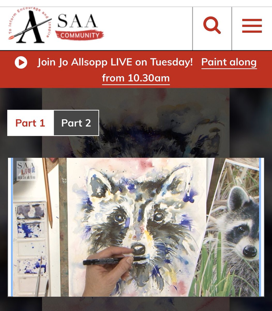 JoAllsoppSable1's tweet photo. Fantastic day of live streaming my raccoon to a sell out workshop at the SAA headquarters in Newark. Love my job 😍#SAA #raccoon #wildlifeartist #watercolorpainting https://t.co/qr52Lrriew