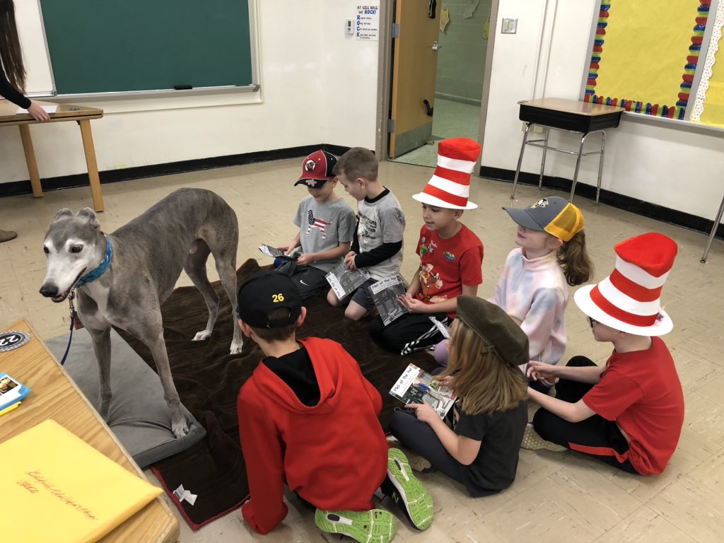 MrsHampsay's tweet photo. Gill Hall Reads Week = the best week! 📚🎉 On Monday, our students wore their favorite hat and read to therapy dogs 🐶 These puppies brought pure joy to our little readers 🤗 Thank you to our amazing PTA for planning and organizing these fun activities!!! #WErTJ #GillHallElem https://t.co/akoVCHRE5l