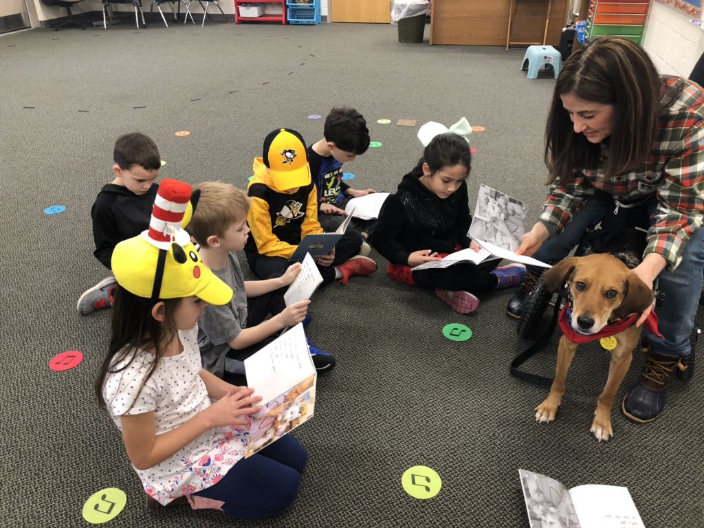 MrsHampsay's tweet photo. Gill Hall Reads Week = the best week! 📚🎉 On Monday, our students wore their favorite hat and read to therapy dogs 🐶 These puppies brought pure joy to our little readers 🤗 Thank you to our amazing PTA for planning and organizing these fun activities!!! #WErTJ #GillHallElem https://t.co/akoVCHRE5l