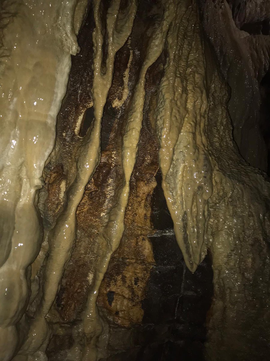 olive_bburn's tweet photo. Year 3 visited White Scar Caves today. They were in awe of the stalactites and underground waterfalls.
#caves #geographyalways #nature #respect # ambition https://t.co/HeEPrK7e7a