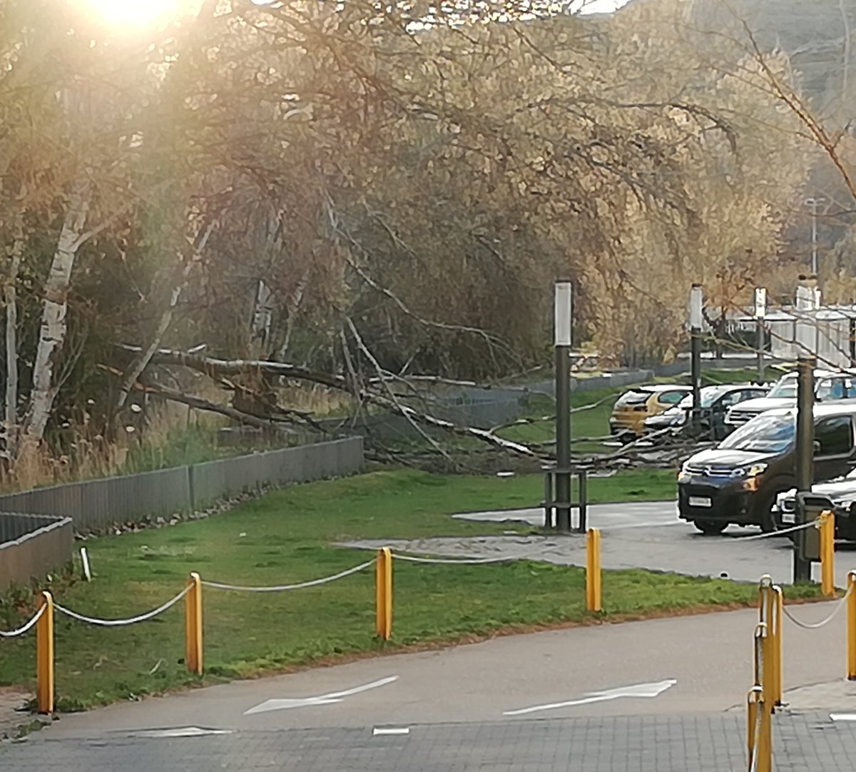 AngelKasteyano's tweet photo. Cuando no se limpian los márgenes del río y vienen temporales de viento como hoy pasa lo que pasa @MeteoCalatayud @meteo_aragon https://t.co/jKj20KT6wU
