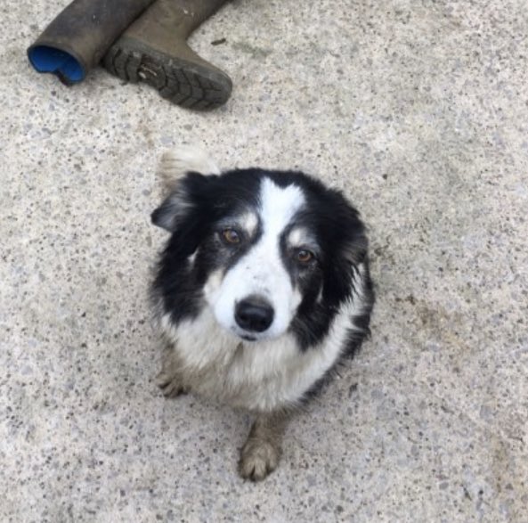 Friday-Sunday MARCH 6th-8th our monthly FRIDAY farmer’s market links with the weekend market for a 3 day celebration of superb food and drink. Get your market shoppers out and come down to meet the farmers, producers and fill up with some top notch grub #farmersmarket