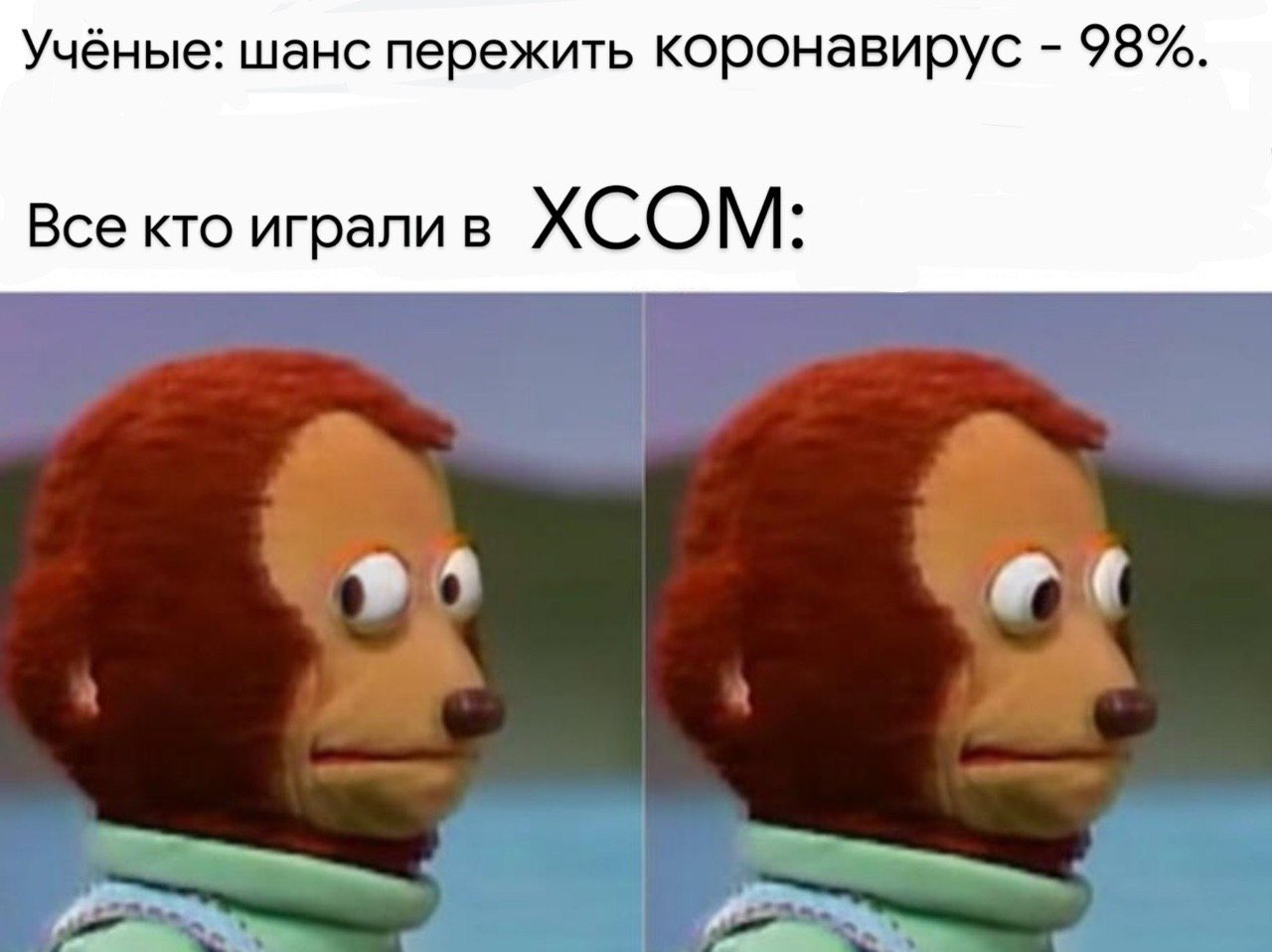 ESNK0zYXsAA2d6y?format=jpg&name=large