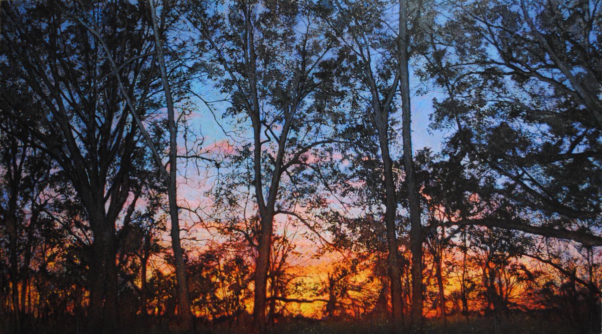 Contemporary Landscape Paintings now on display at Southside - mailchi.mp/0f0d3661d735/c…