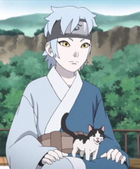 lyn 🔸 on X: "got to the episode of boruto where mitsuki adopts a tiny  little cat and it literally made me cry like a lot https://t.co/Jwy0Wc4EMX"  / X