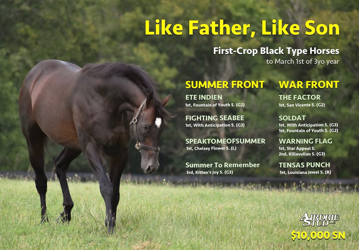 AirdrieStud's tweet photo. Like War Front, #SummerFront has sired GSWs on dirt and turf and has a leading ⁦@KentuckyDerby⁩ contender in his first crop! https://t.co/6voREQ0SvV