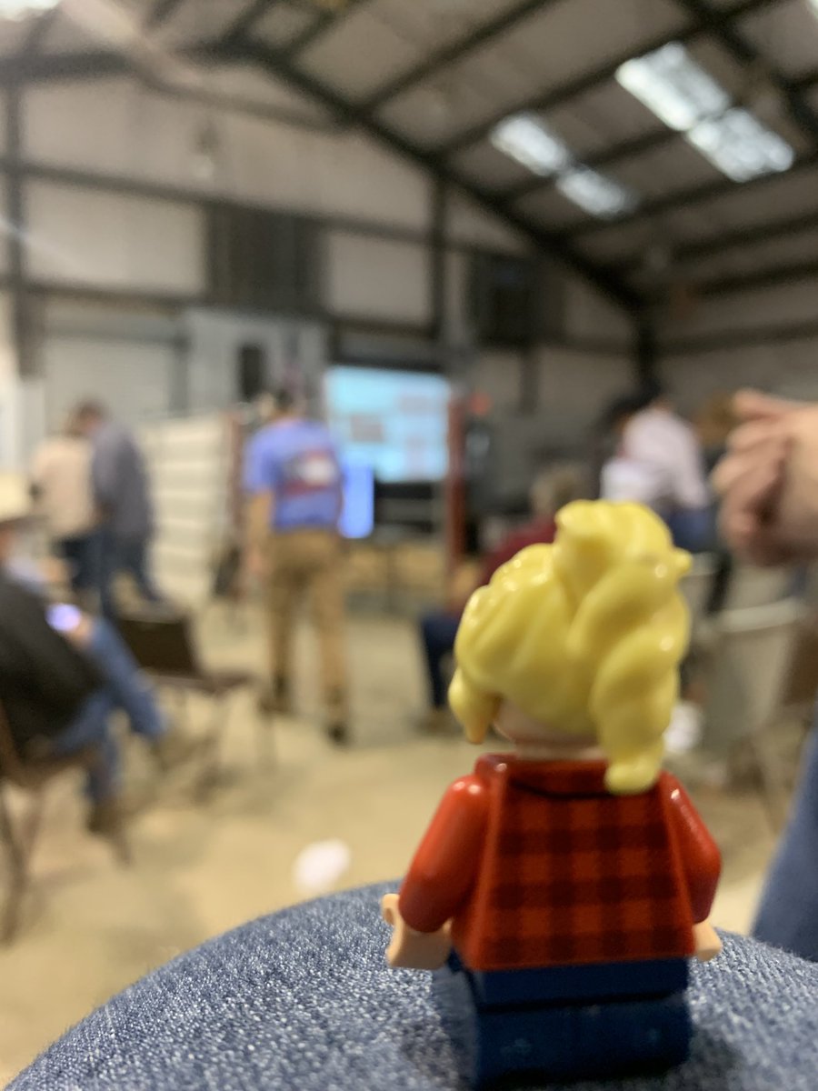 LegoForages's tweet photo. It’s been a great day at the #beef #cattle shortcourse! 

#UGAbeef #GAforages https://t.co/Sq37srKnzb