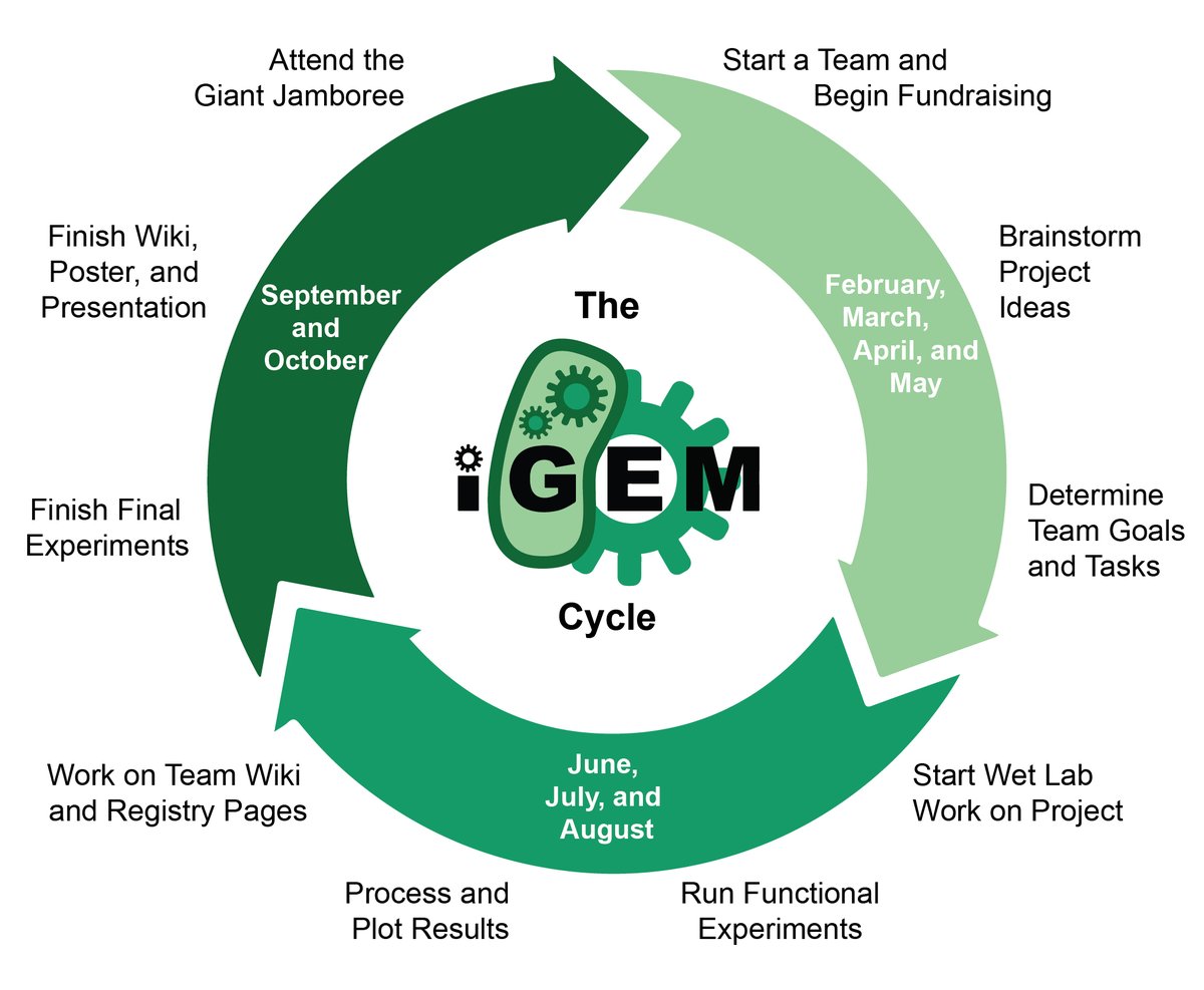 iGEM tweet media