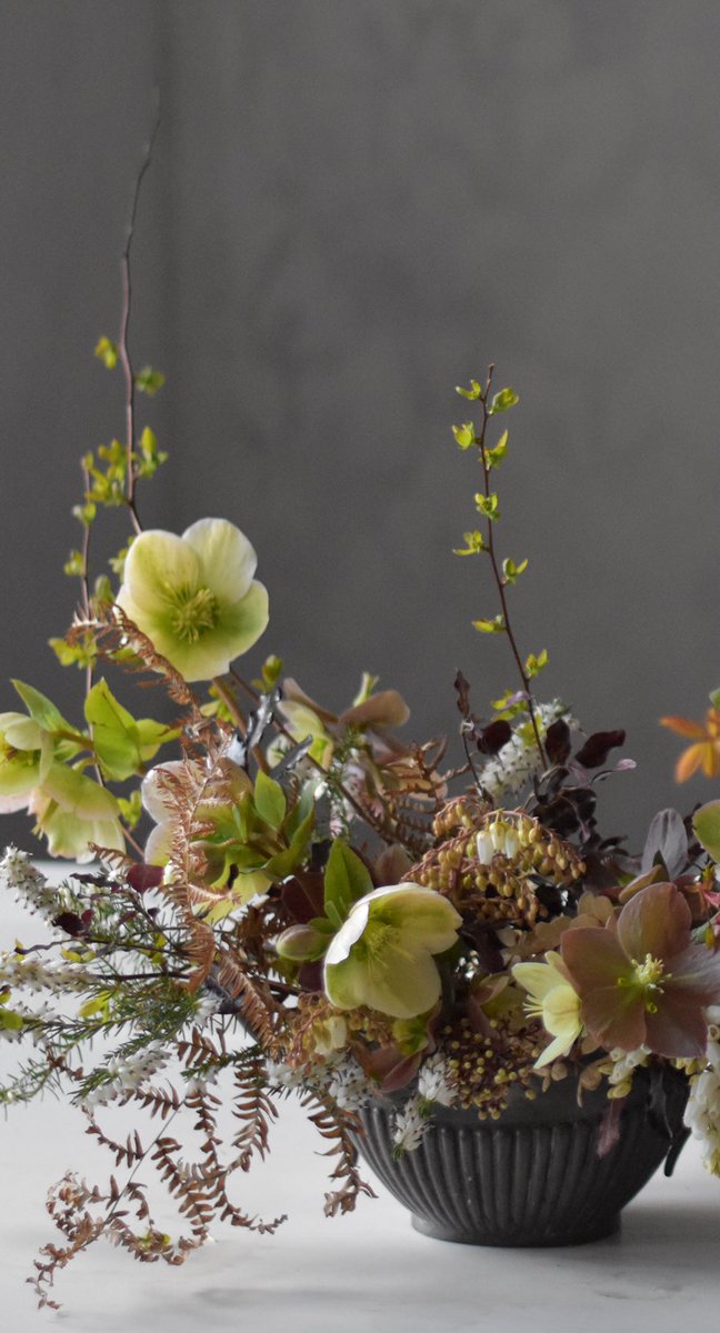 Countdown - Let there be light and warmth

#britishflowers #inspiredbyflowers #justbefloral  #moodforfloral #floralstories #myfloraldays #slowsimpleseasonal #gardengathered #seasonalfloweralliance #underthefloralspell #blooooms #momentsofmine #inspiredbytheseasons