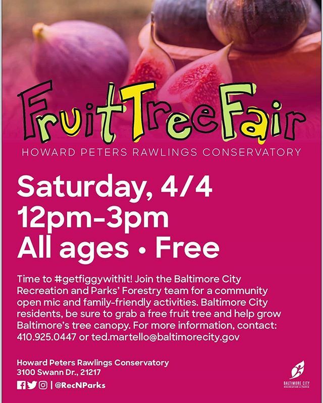 We are super excited to be participating in the Baltimore City Fruit Tree Fair again this year! 
Get your FREE fruit tree from the City, and then stop by our table for all the companion plants your fruit tree could want 🌳🌿 ~Saturday April 4th, 12-3pm… ift.tt/3cwG5n0
